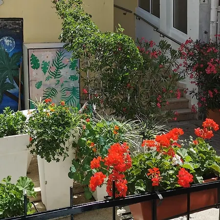 Apartment Lara Deluxe Superior 5 Star Apartment, Your Piece Of Heaven By The Sea & Park Novigrad (Istria)
